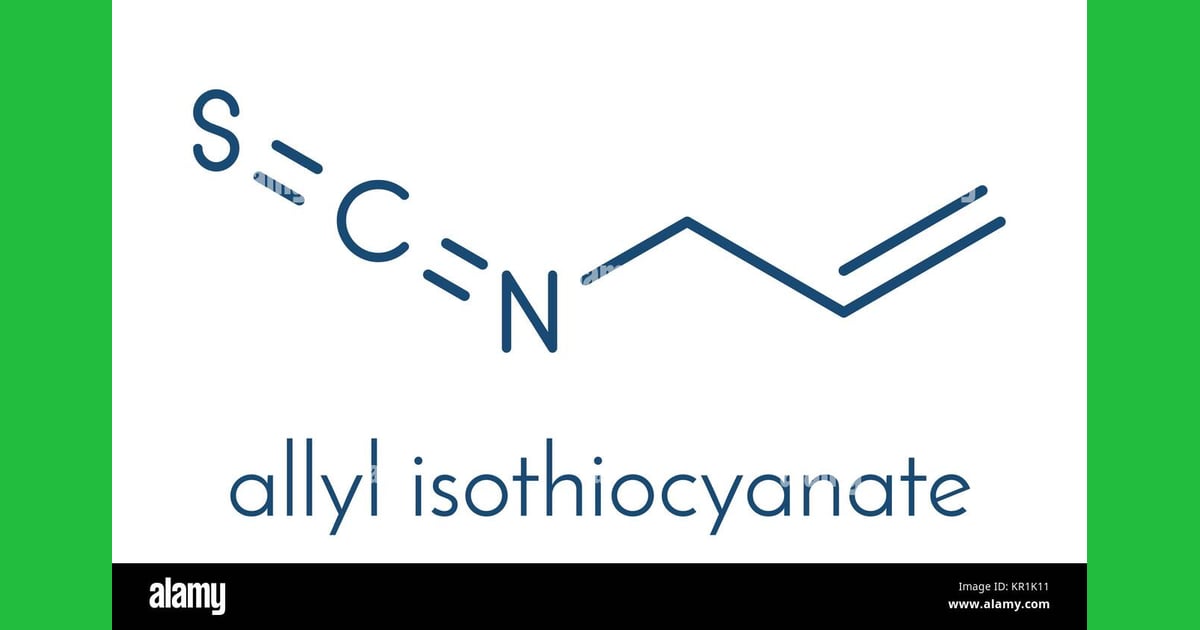 Alil Isotiosianat - Allyl isothiocyanate mustard