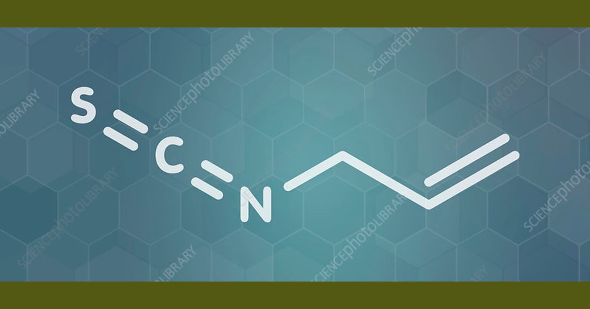 Alil Isotiosianat - Allyl isothiocyanate mustard