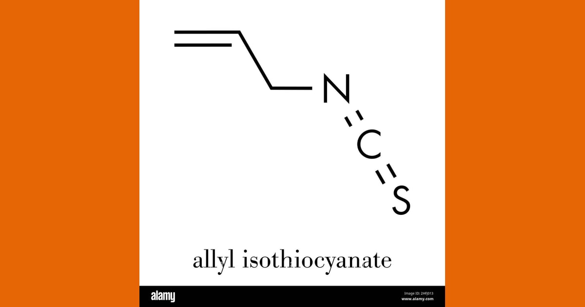Alil Isotiosianat - Pungent Stock Vector
