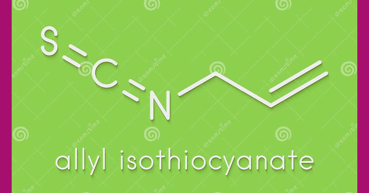Alil Isotiosianat - Allyl Isothiocyanate Mustard