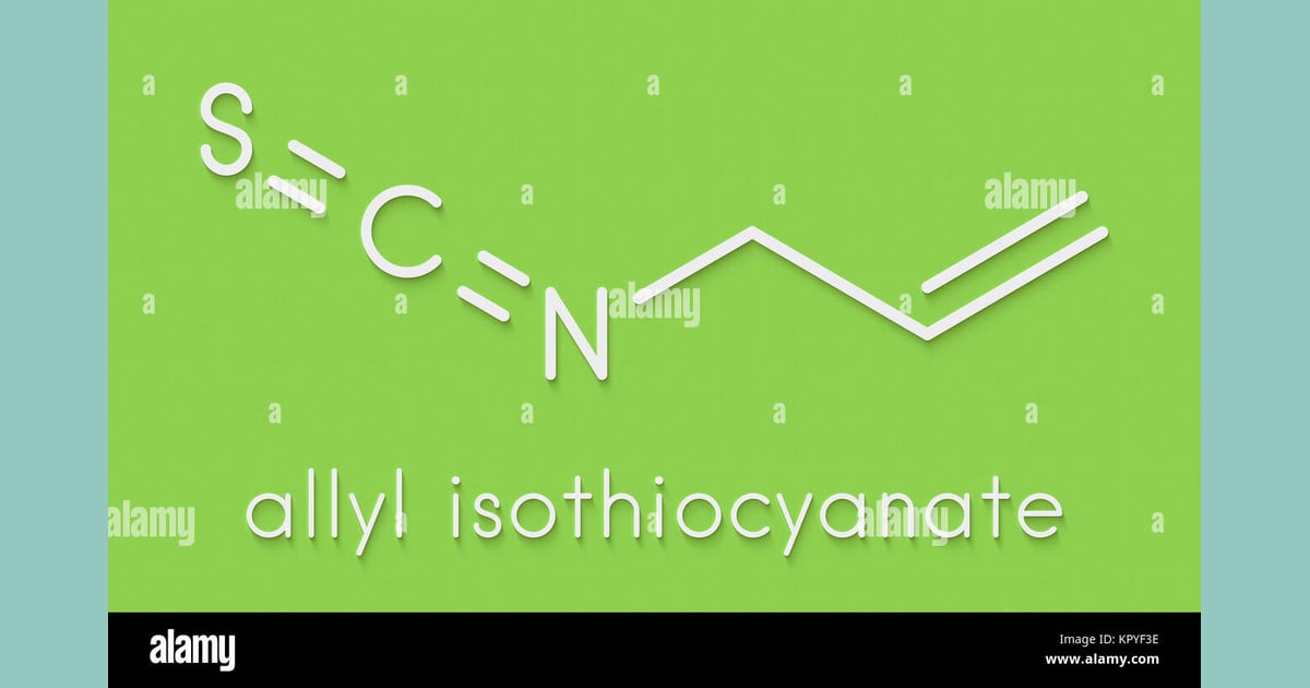 Alil Isotiosianat - Allyl isothiocyanate mustard