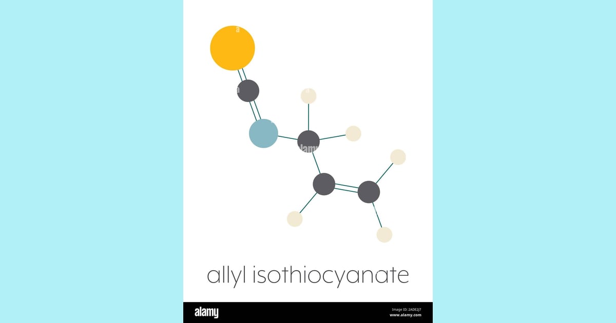 Alil Isotiosianat - Allyl isothiocyanate mustard