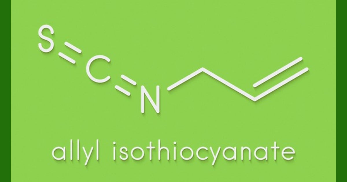Alil Isotiosianat - 49 Allyl Isothiocyanate