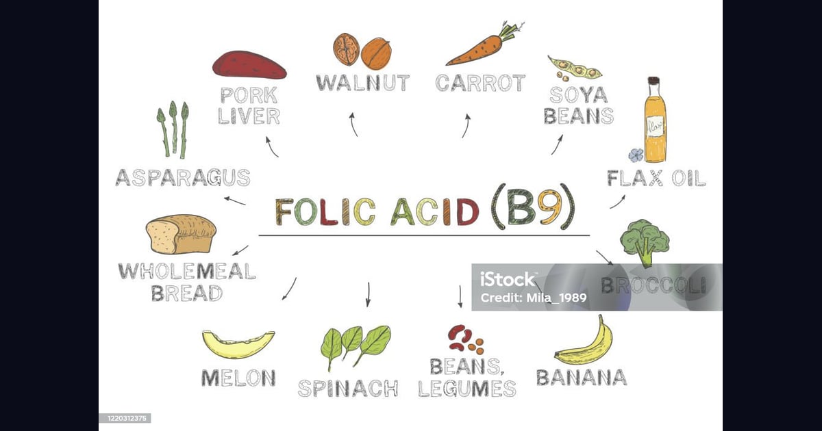 Asam Folat (Vitamin B9) - Vitamin B9 Infografis