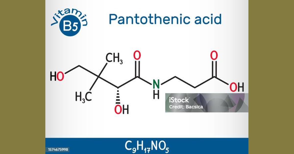 Asam Pantotenat (Vitamin B5) - Asam Pantotenat Vitamin