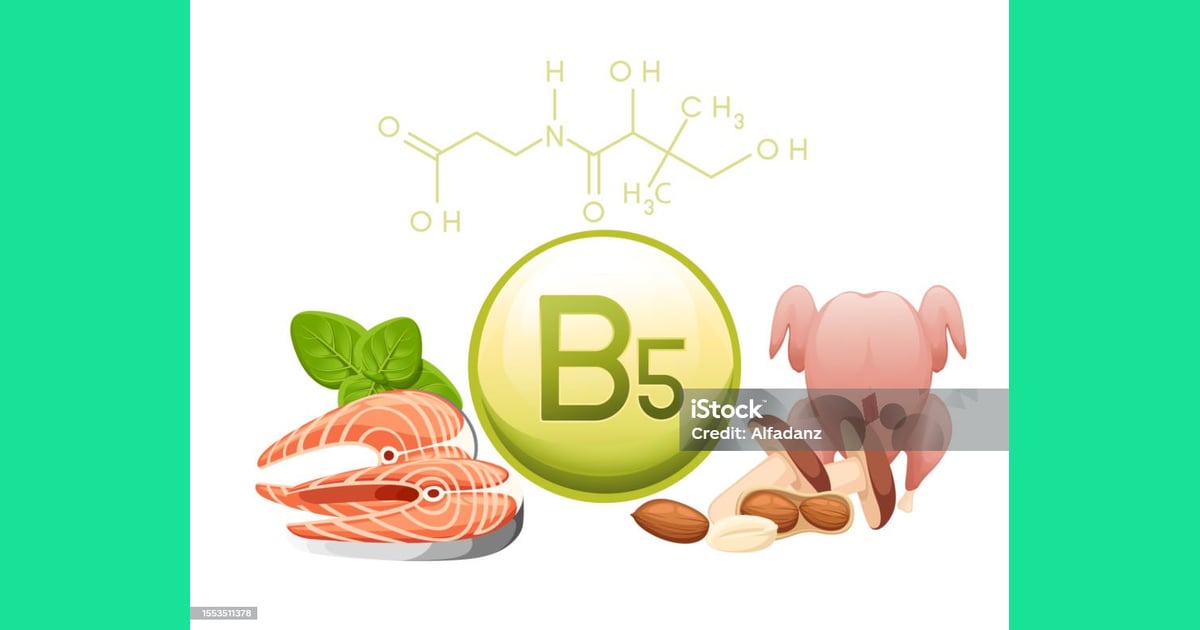 Asam Pantotenat (Vitamin B5) - Vitamin B5 Kapsul