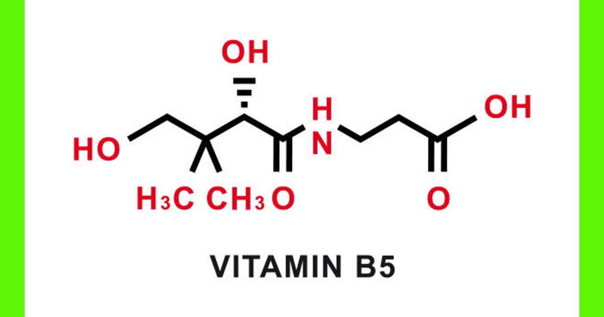 Asam Pantotenat (Vitamin B5) - 250+ Asam Pantotenat