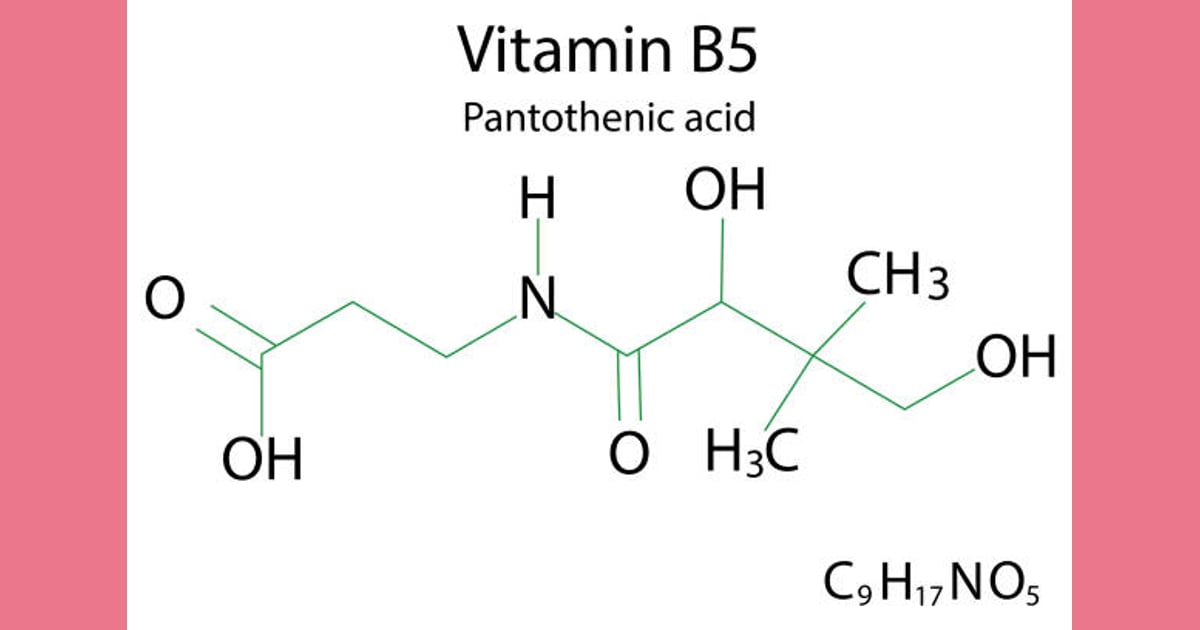 Asam Pantotenat (Vitamin B5) - 250+ Asam Pantotenat