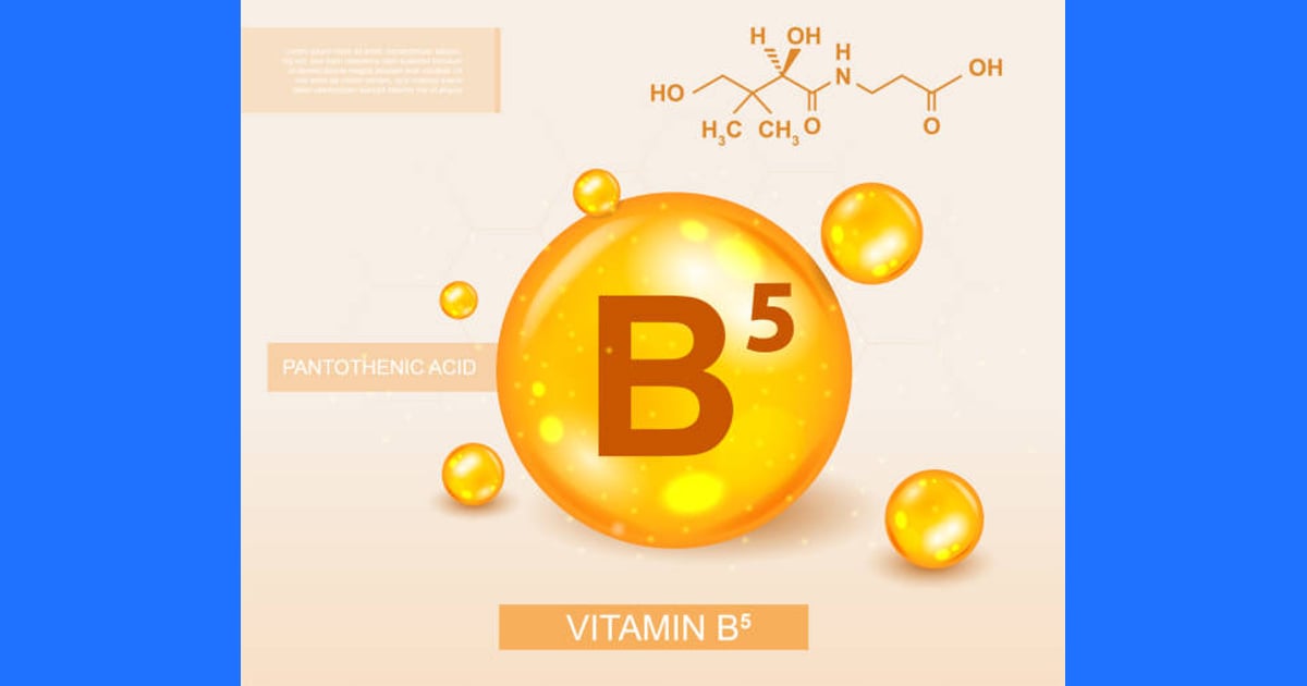 Asam Pantotenat (Vitamin B5) - 250+ Asam Pantotenat