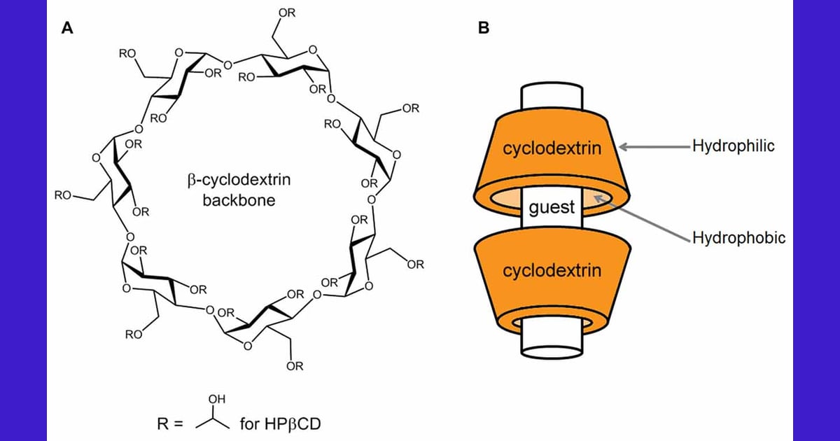 Beta-Siklodekstrin - What Is Methyl