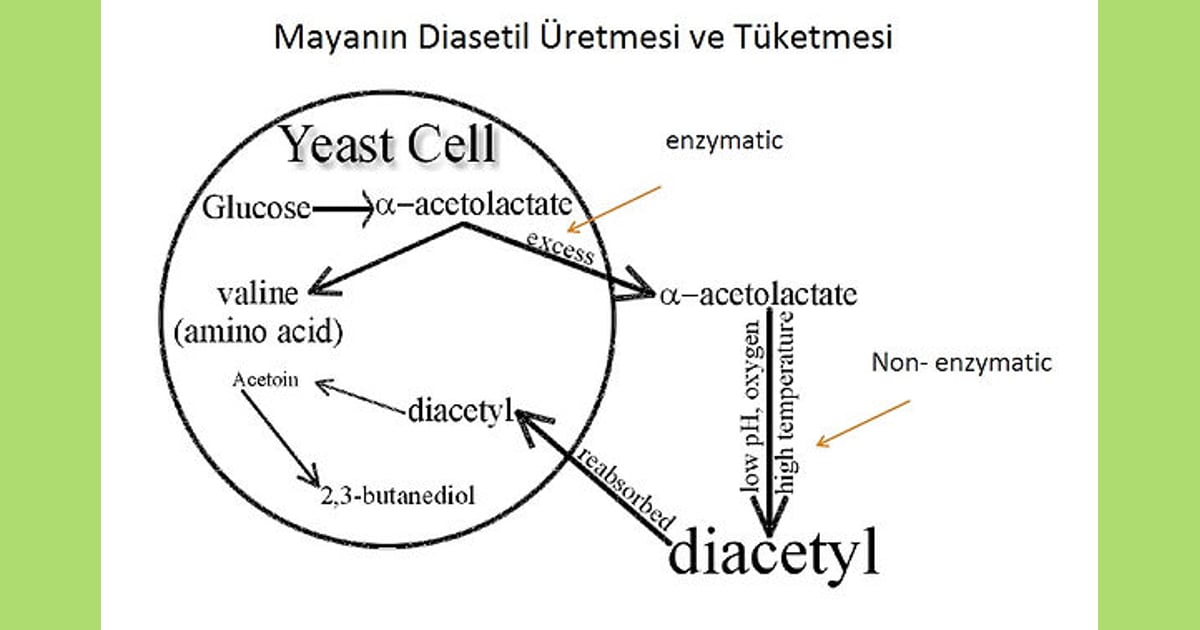 Diasetil - diasetil | evdebirayapimi