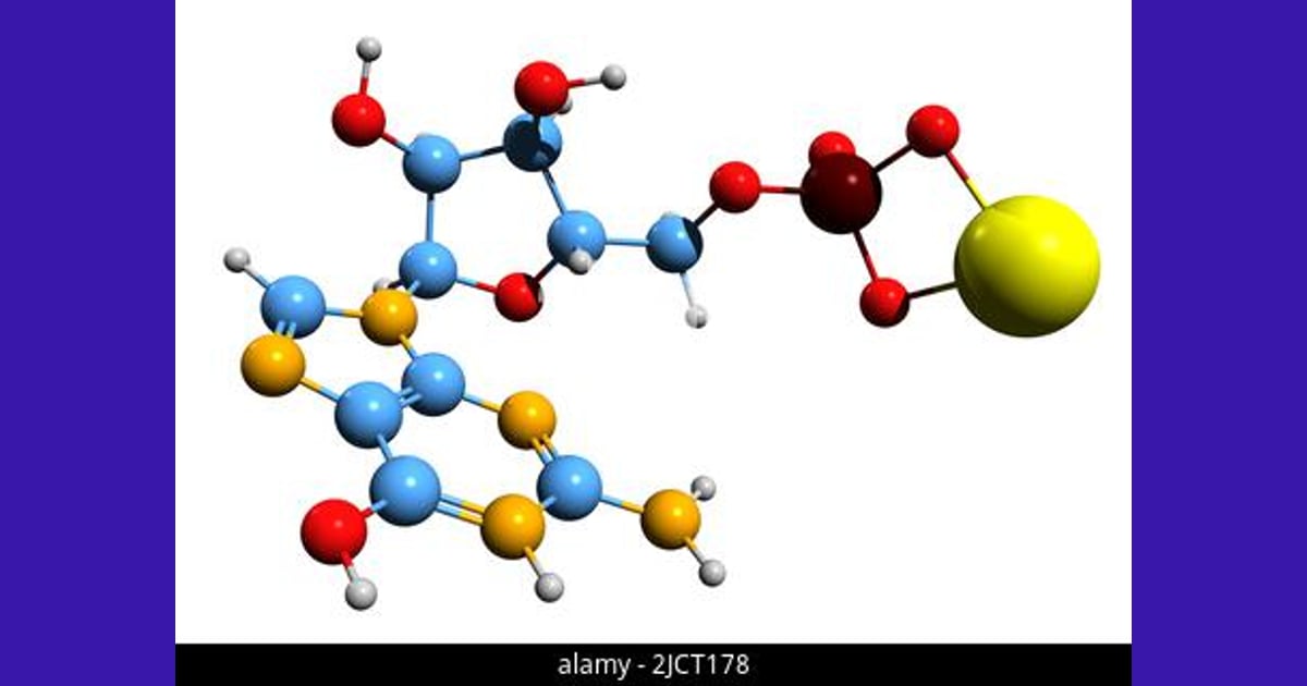Disodium Guanilat - 3D image of