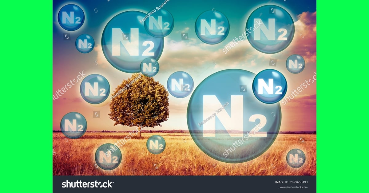Gas Nitrogen - Nitrogen Gas Clip