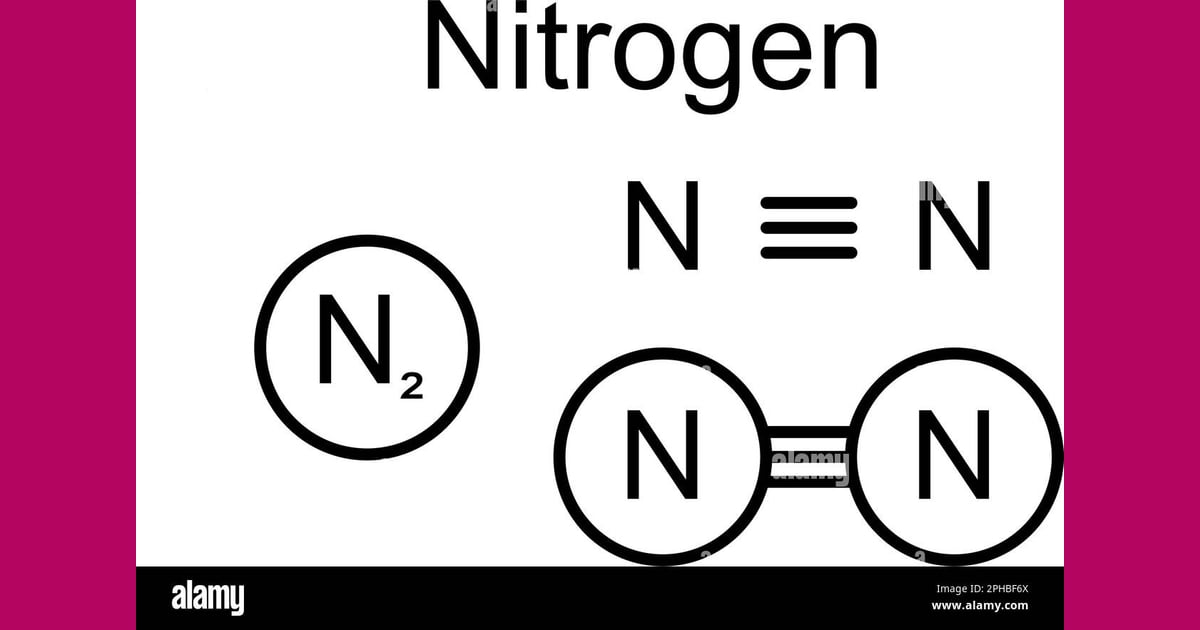 Gas Nitrogen - What Is The