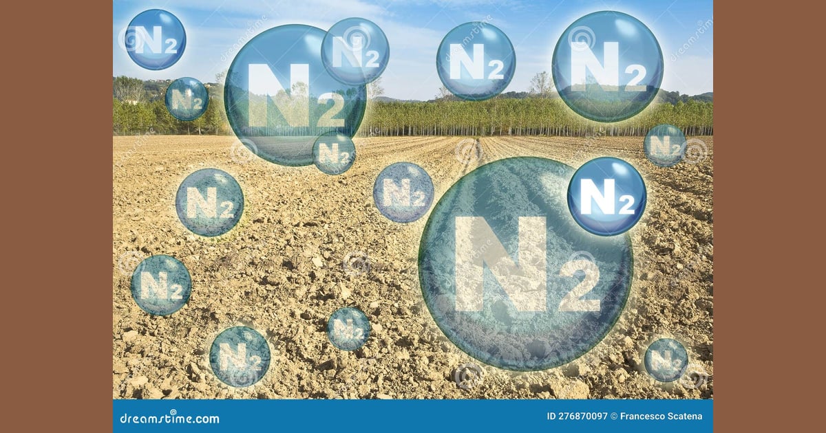 Gas Nitrogen - N2 Nitrogen Gas