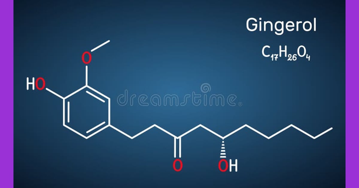Gingerol - Gingerol Stock Illustrations