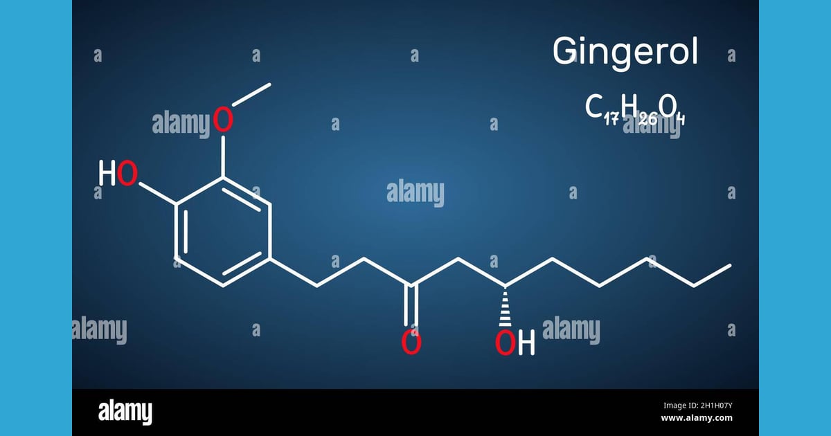 Gingerol - Gingerol molecule. It