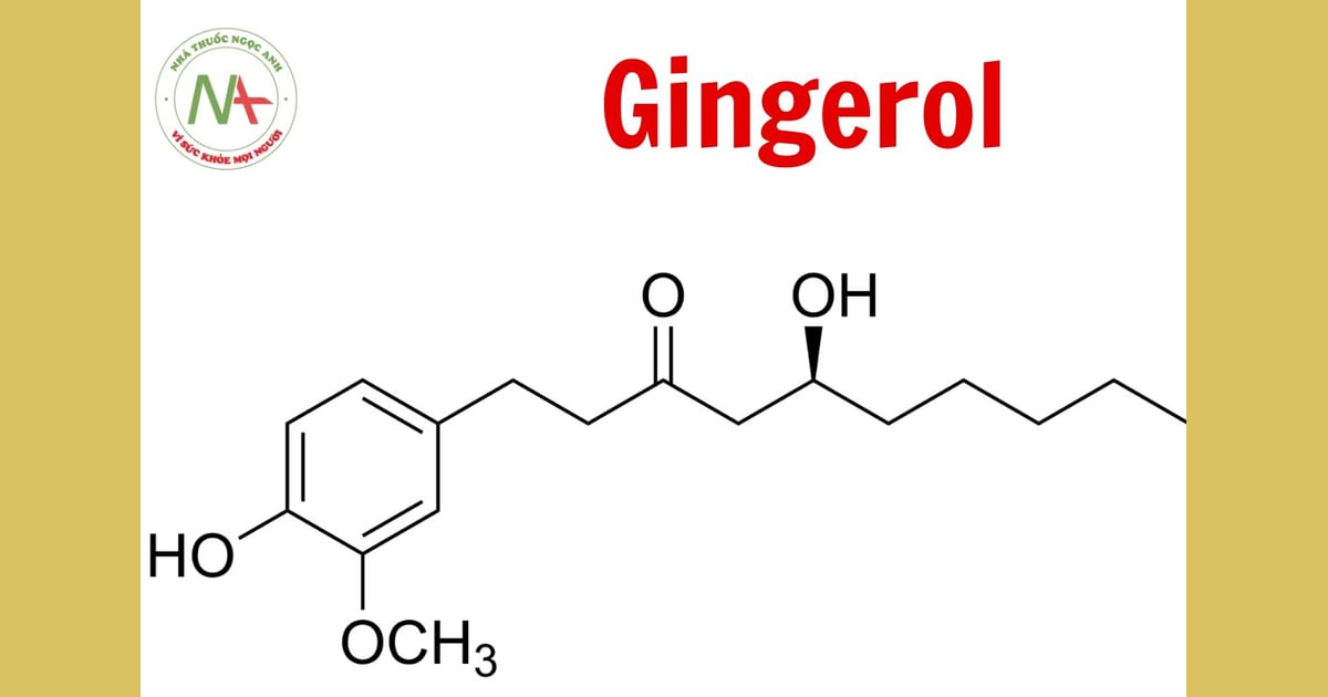 Gingerol - Gingerol là gì?