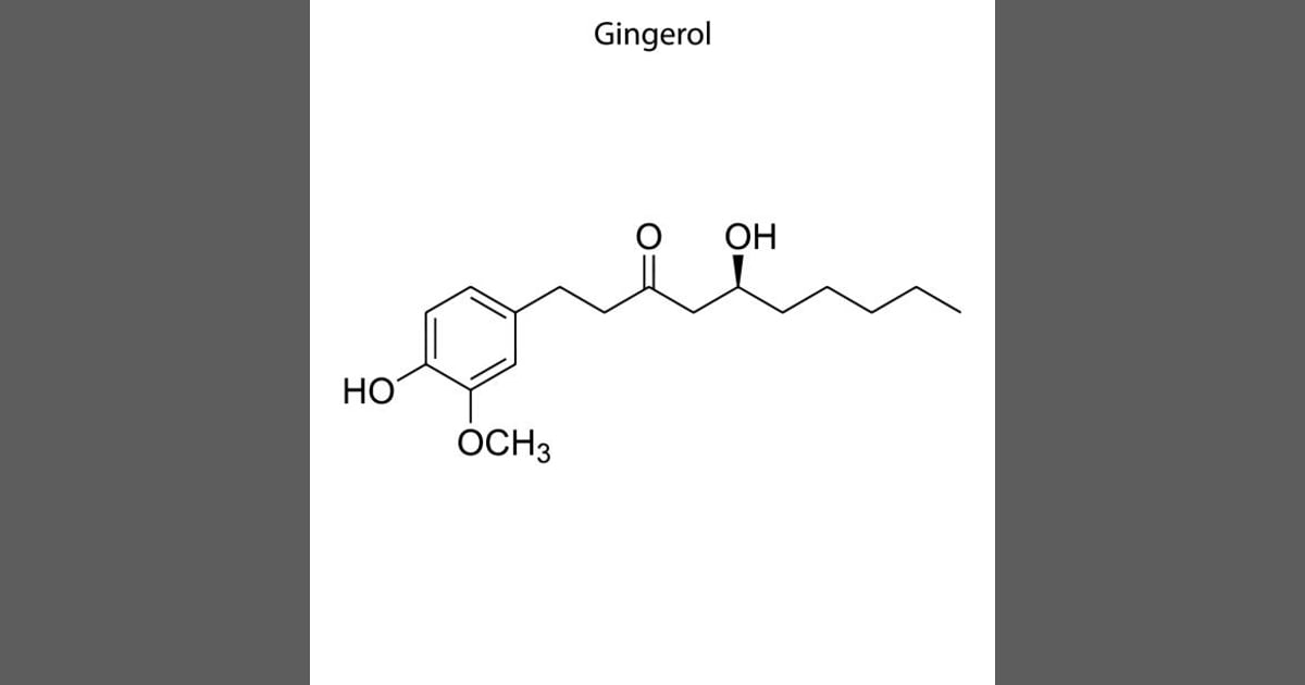 Gingerol - 30+ Gingerol Stock