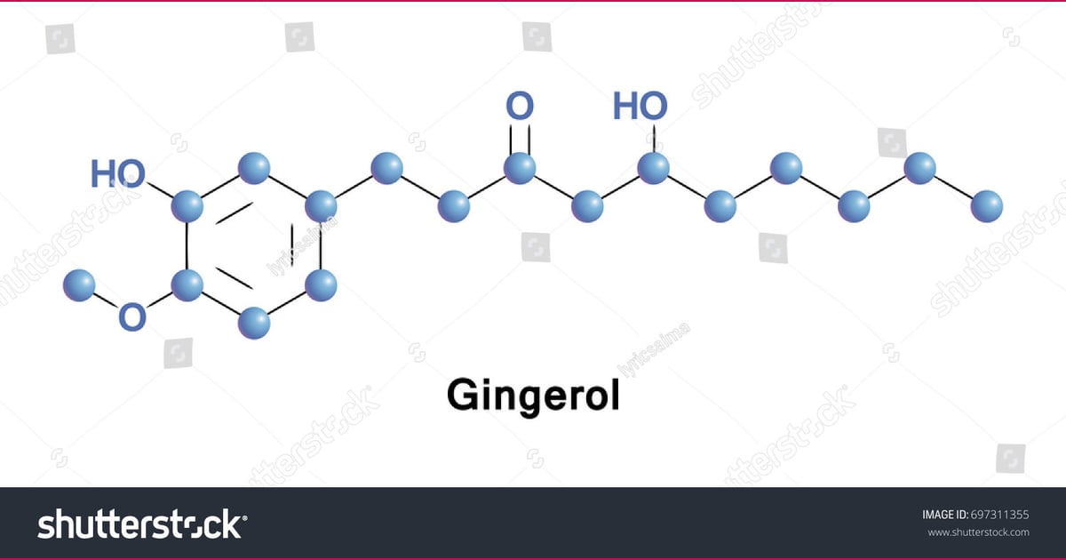 Gingerol - Gingerol Active Constituent