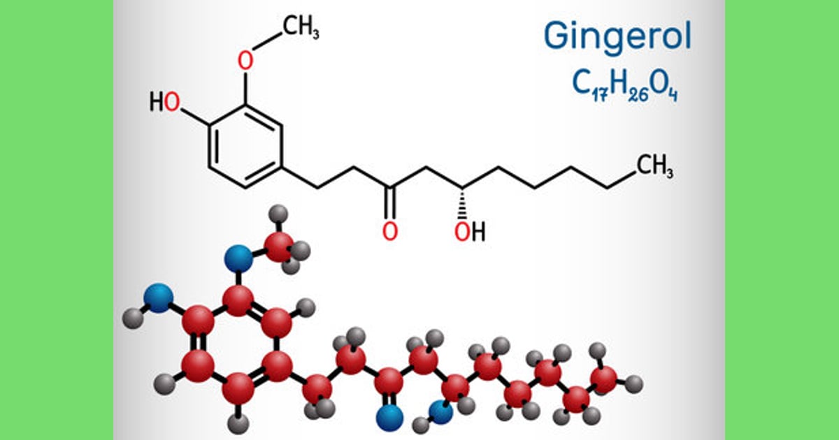 Gingerol - Vector of Gingerol