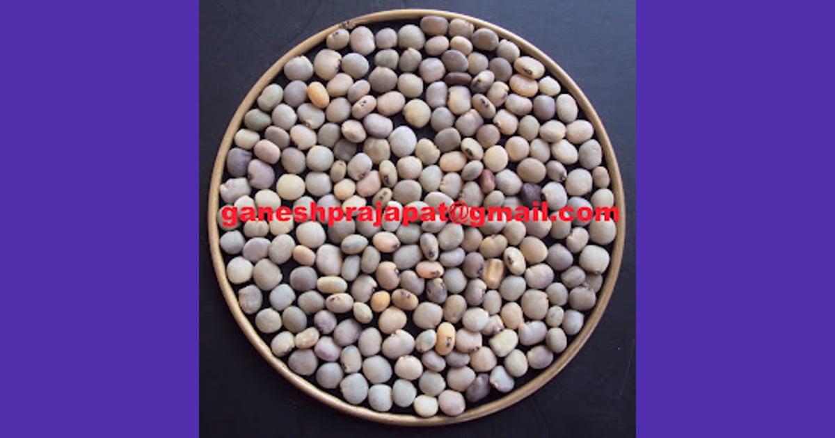 Guar Gum - GUAR GUM INFORMATION