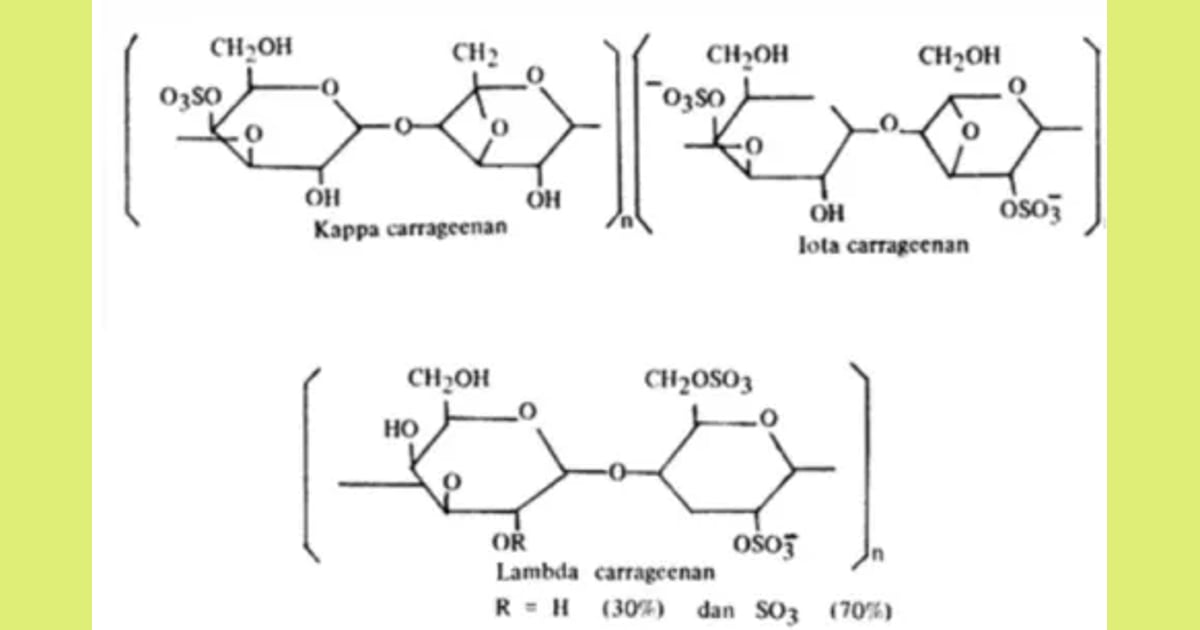 Karagenan - HIDROKOLOID KAPPA-KARAGENAN SEBAGAI