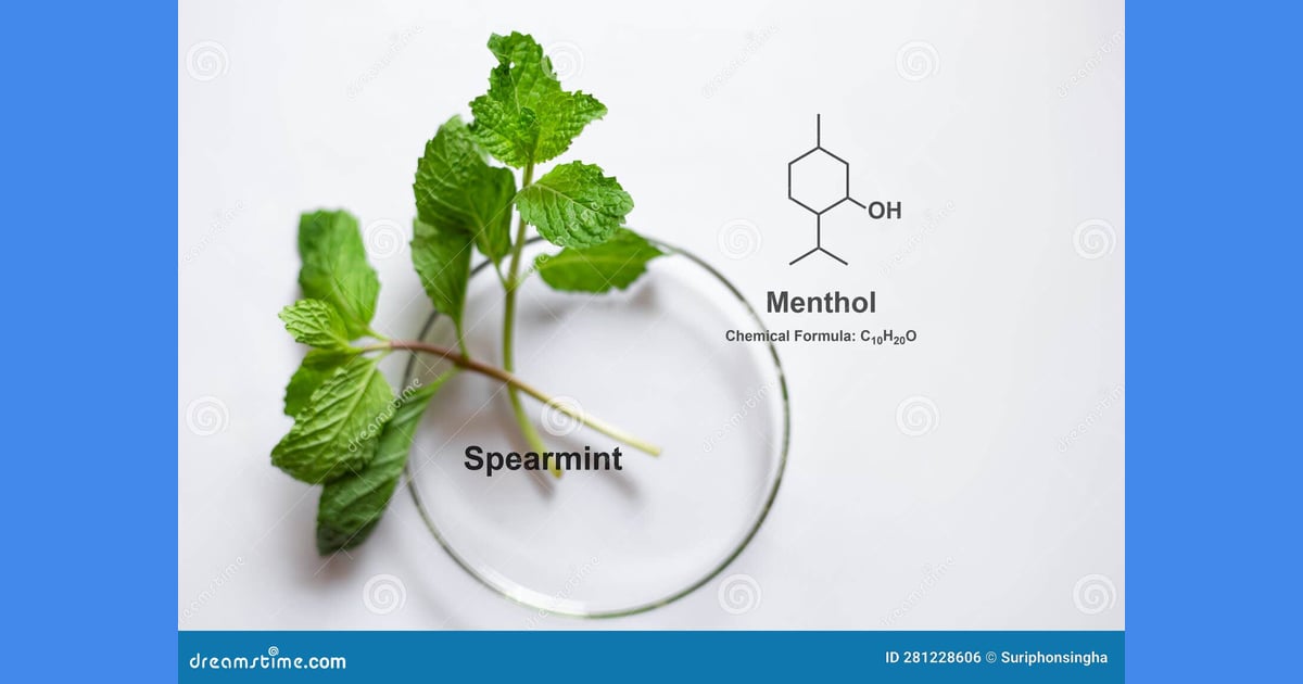 Mentol - La Estructura Química