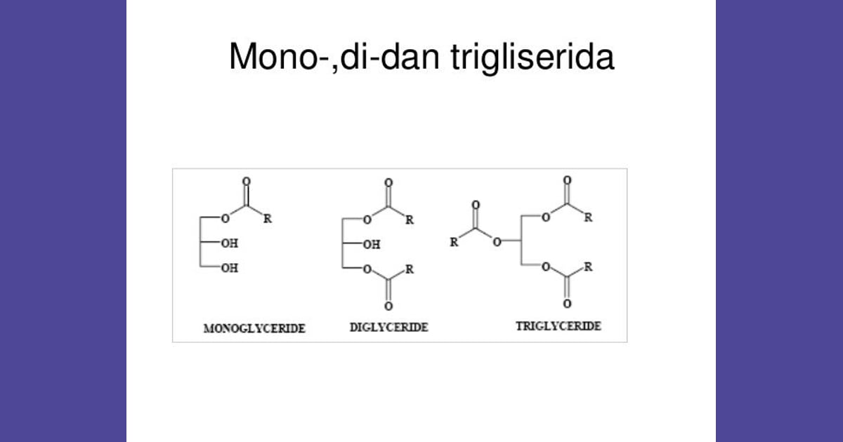Mono- dan Digleserida - Food chemistry of