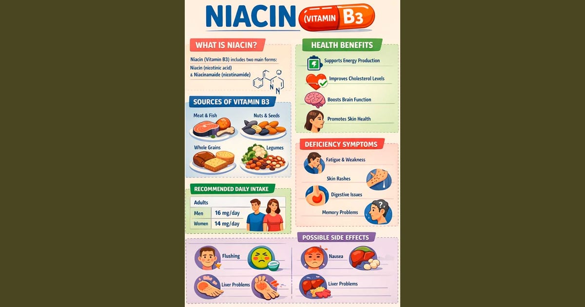 Niasin (Vitamin B3) - Niasin, Vitamin B3: