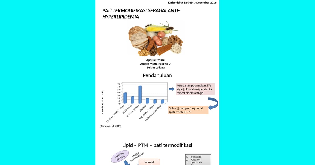 Pati Termodifikasi - Pati Termodifikasi Sebagai