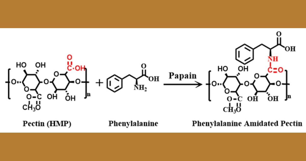 Pektin - Pectin Based Hydrogels