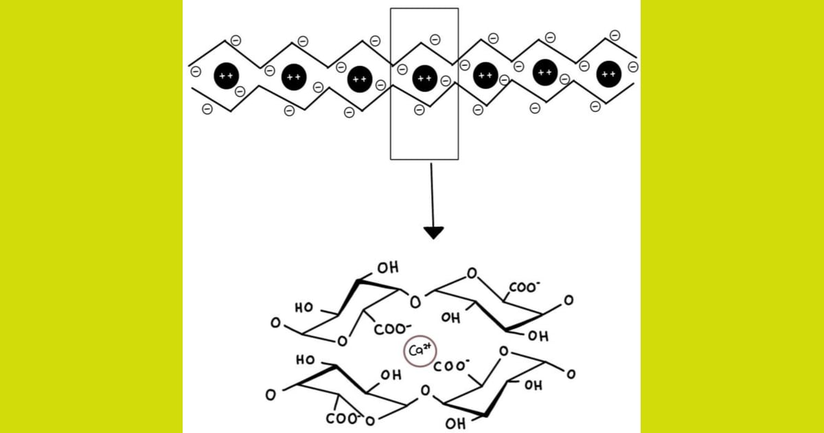 Pektin - Pectin Hydrogels: Gel-Forming