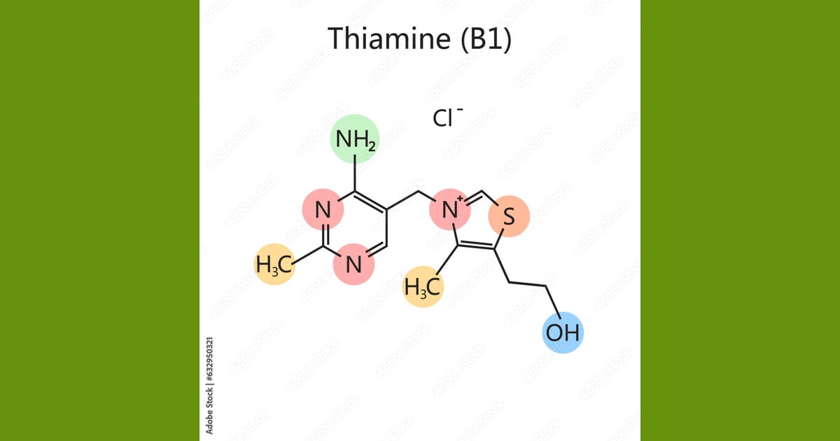 Tiamin (Vitamin B1) - Chemical organic formula