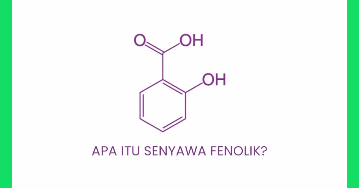 Senyawa Fenol (Sejarah, Karakteristik, Fungsi, Kegunaan Contoh) - Apa Itu Senyawa