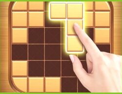 Puzzle de Blocs en Bois : Jeu de Casse-Tête Classique