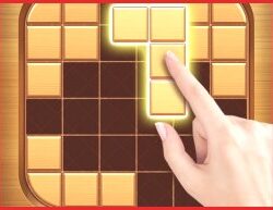 Rompecabezas de Bloques de Madera: Juego Clásico de Ingenio