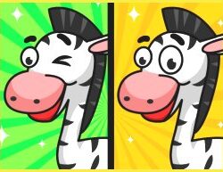 Scopri 6 Differenze – Coinvolgente Gioco Rompicapo